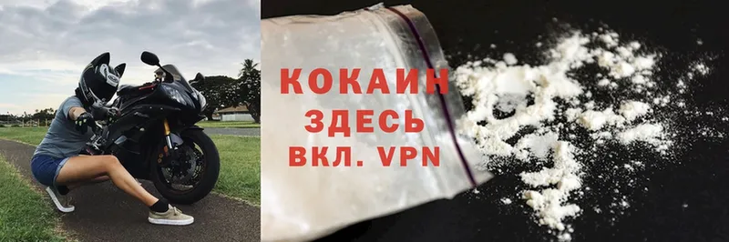 COCAIN Fish Scale  darknet официальный сайт  Дрезна 